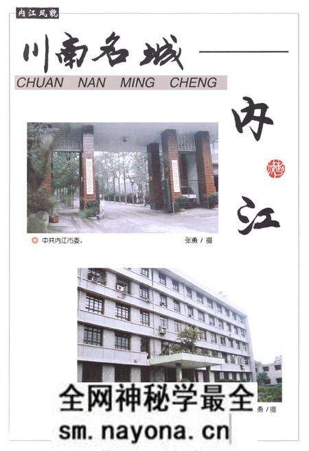 《内江地区党派群团志》.pdf电子版_四川省志预览图4