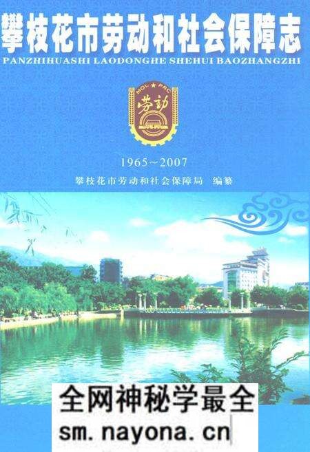 《攀枝花市劳动和社会保障志(1965-2007)》.pdf电子版_四川省志预览图 《攀枝花市劳动和社会保障志(1965-2007)》.pdf电子版_四川省志预览图