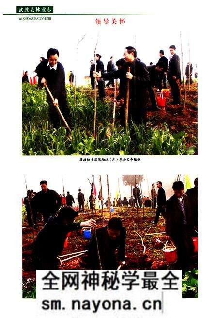 《武胜县林业志(1919-2008)》.pdf电子版_四川省志预览图3 《武胜县林业志(1919-2008)》.pdf电子版_四川省志预览图3