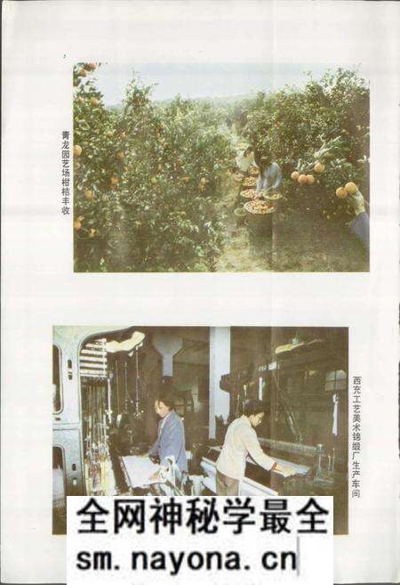 《四川省西充县地名录》.pdf电子版_四川省志预览图5 《四川省西充县地名录》.pdf电子版_四川省志预览图5