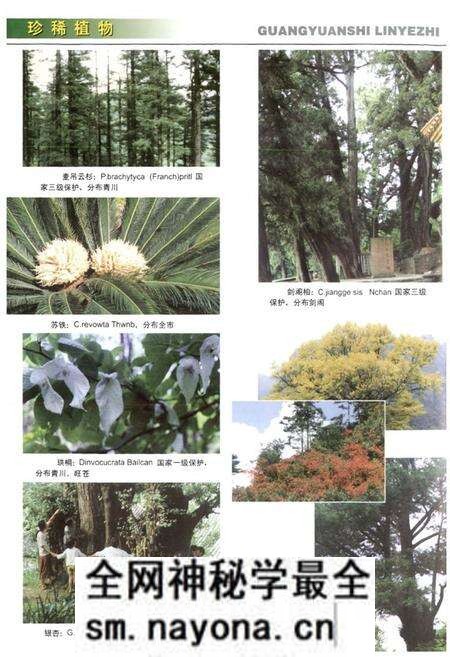 《《广元市林业志》》.pdf电子版_四川省志预览图4 《《广元市林业志》》.pdf电子版_四川省志预览图4