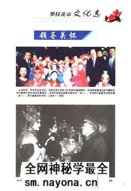 《《攀枝花市文化志(1965-2005)》》.pdf电子版_四川省志预览图4