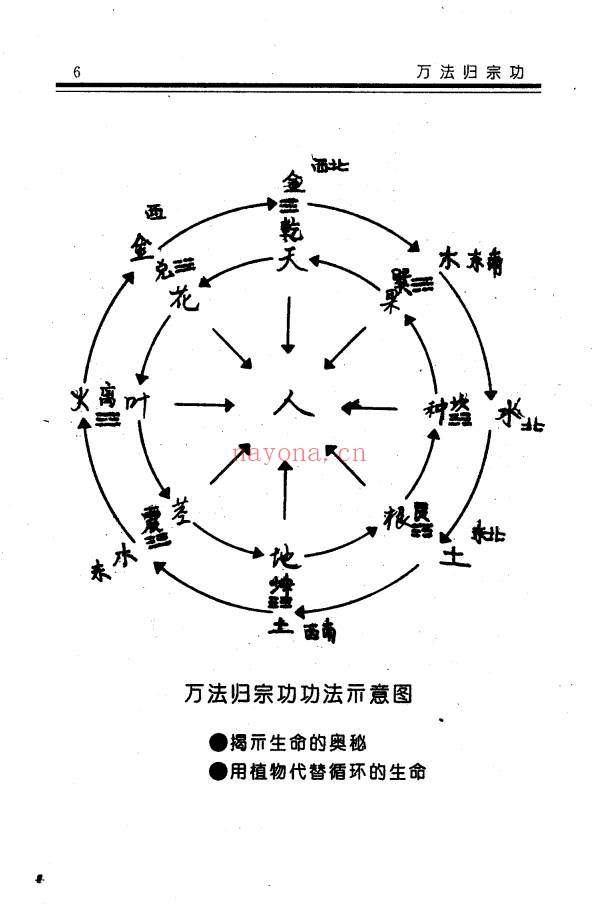 慧乐大师济世神功万法归宗功194页PDF 道家功法