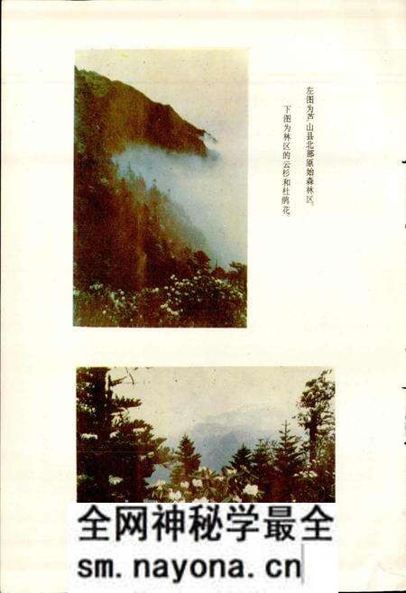 《四川省芦山县地名录》.pdf电子版_四川省志预览图5