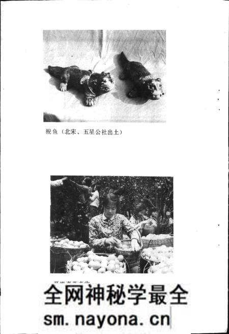 《四川省蒲江县地名录》.pdf电子版_四川省志预览图4 《四川省蒲江县地名录》.pdf电子版_四川省志预览图4