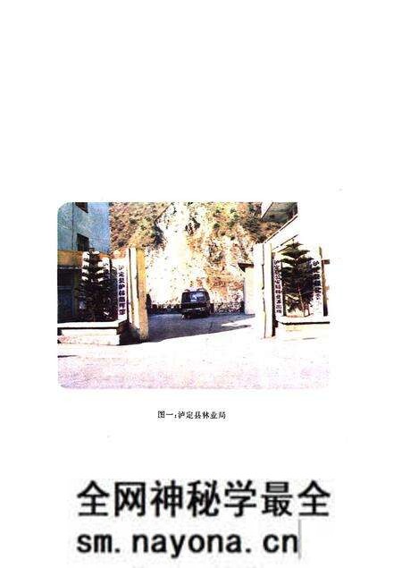 《甘孜藏族自治州泸定县林业志》.pdf电子版_四川省志预览图3
