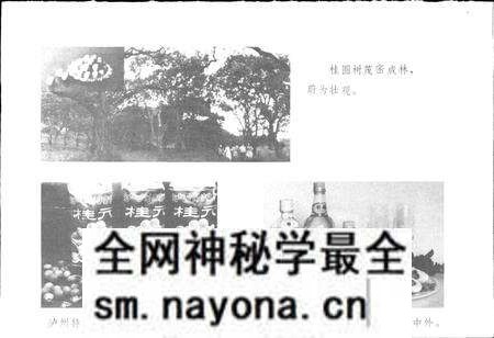 《四川省泸州市地名录》.pdf电子版_四川省志预览图4 《四川省泸州市地名录》.pdf电子版_四川省志预览图4