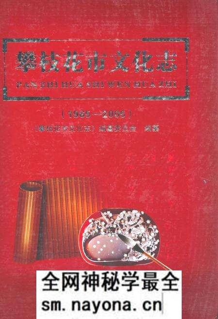 《《攀枝花市文化志(1965-2005)》》.pdf电子版_四川省志预览图
