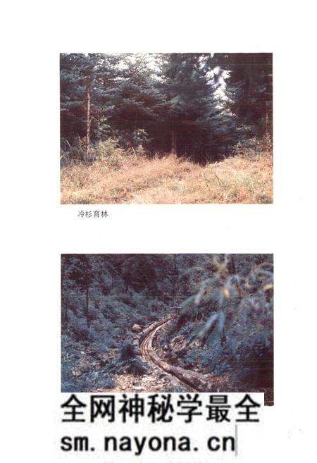《四川省金口河工农区地名录》.pdf电子版_四川省志预览图4 《四川省金口河工农区地名录》.pdf电子版_四川省志预览图4