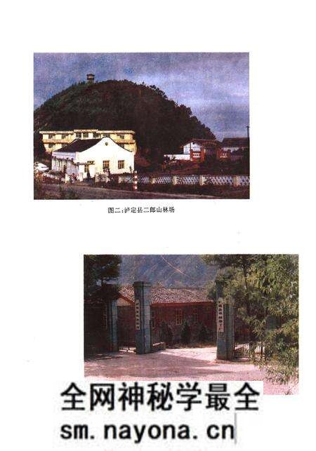 《甘孜藏族自治州泸定县林业志》.pdf电子版_四川省志预览图4