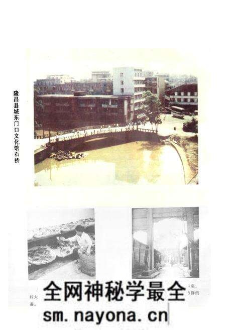 《四川省隆昌县地名录》.pdf电子版_四川省志预览图5 《四川省隆昌县地名录》.pdf电子版_四川省志预览图5