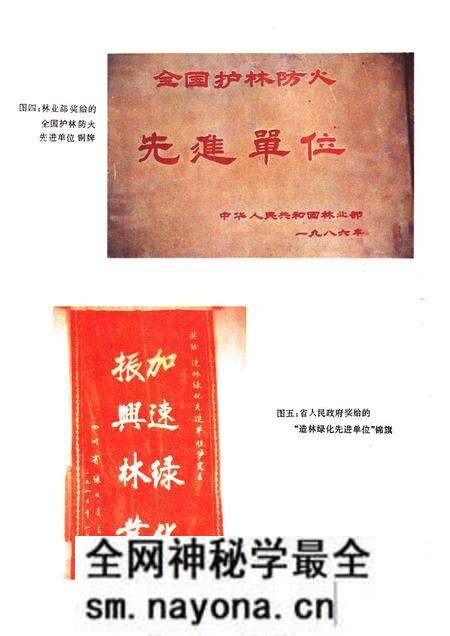 《甘孜藏族自治州泸定县林业志》.pdf电子版_四川省志预览图5