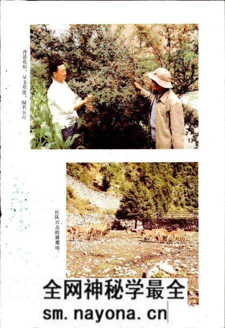 《四川省阿坝藏族自治州理县地名录》.pdf电子版_四川省志预览图4 《四川省阿坝藏族自治州理县地名录》.pdf电子版_四川省志预览图4