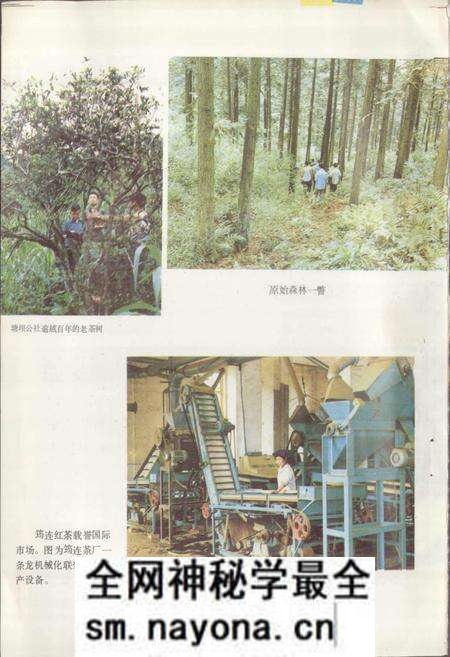 《四川省筠连县地名录》.pdf电子版_四川省志预览图3