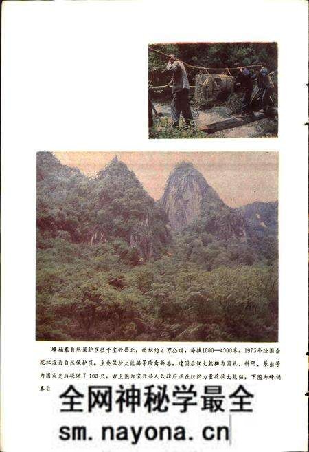 《四川省宝兴县地名录》.pdf电子版_四川省志预览图3 《四川省宝兴县地名录》.pdf电子版_四川省志预览图3