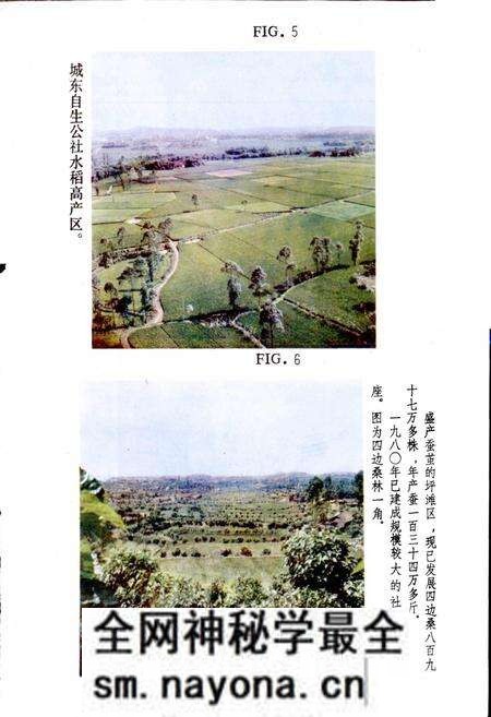 《四川省岳池县地名录》.pdf电子版_四川省志预览图5 《四川省岳池县地名录》.pdf电子版_四川省志预览图5