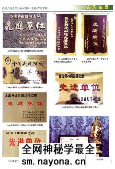 《《广元市林业志》》.pdf电子版_四川省志预览图3 《《广元市林业志》》.pdf电子版_四川省志预览图3