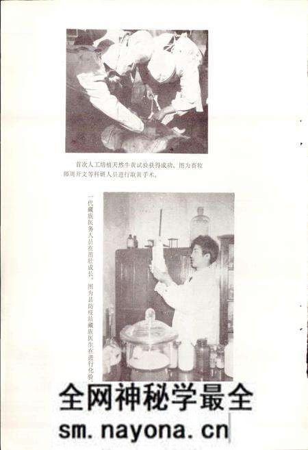 《四川省阿坝藏族自治州壤塘县地名录》.pdf电子版_四川省志预览图5 《四川省阿坝藏族自治州壤塘县地名录》.pdf电子版_四川省志预览图5