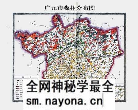 《《广元市林业志》》.pdf电子版_四川省志预览图2 《《广元市林业志》》.pdf电子版_四川省志预览图2
