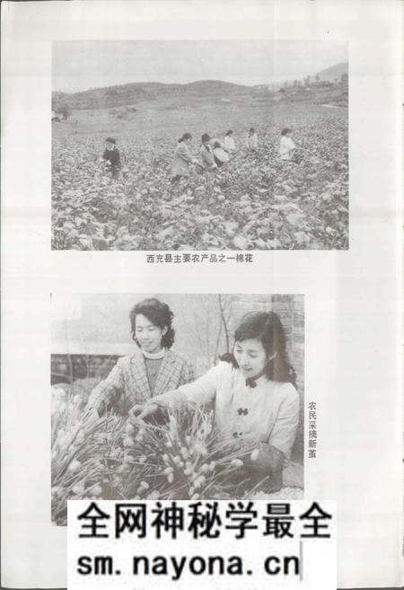 《四川省西充县地名录》.pdf电子版_四川省志预览图3 《四川省西充县地名录》.pdf电子版_四川省志预览图3