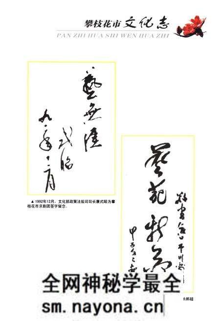 《《攀枝花市文化志(1965-2005)》》.pdf电子版_四川省志预览图3