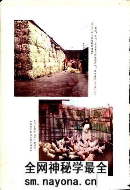 《四川省内江县地名录》.pdf电子版_四川省志预览图3 《四川省内江县地名录》.pdf电子版_四川省志预览图3