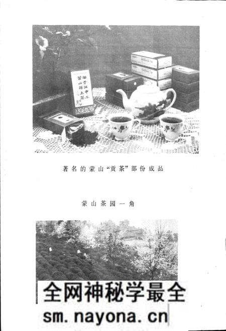 《四川省名山县地名录》.pdf电子版_四川省志预览图5 《四川省名山县地名录》.pdf电子版_四川省志预览图5
