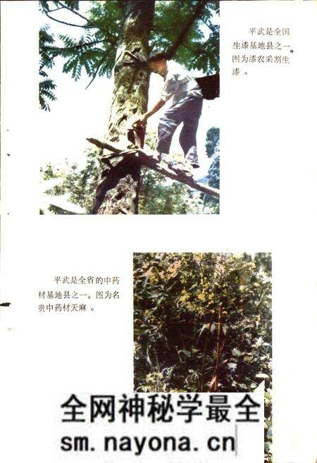 《四川省平武县地名录》.pdf电子版_四川省志预览图5 《四川省平武县地名录》.pdf电子版_四川省志预览图5
