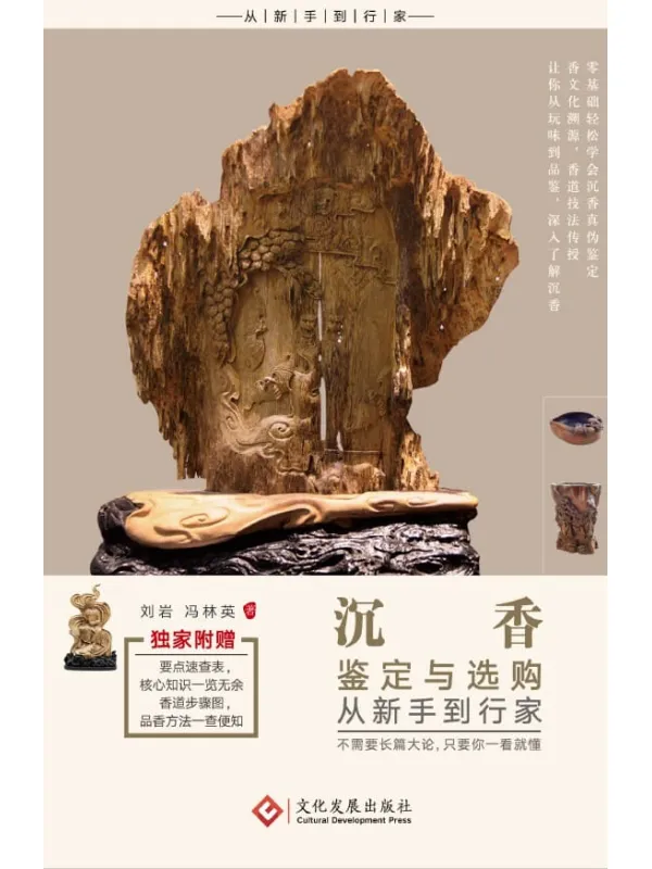 《沉香鉴定与选购从新手到行家》封面图片