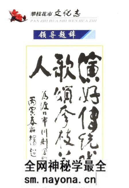 《《攀枝花市文化志(1965-2005)》》.pdf电子版_四川省志预览图2