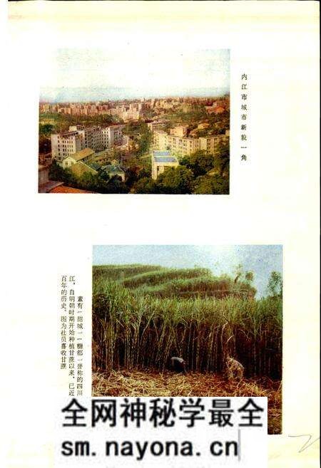 《四川省内江地区内江市地名录》.pdf电子版_四川省志预览图2 《四川省内江地区内江市地名录》.pdf电子版_四川省志预览图2