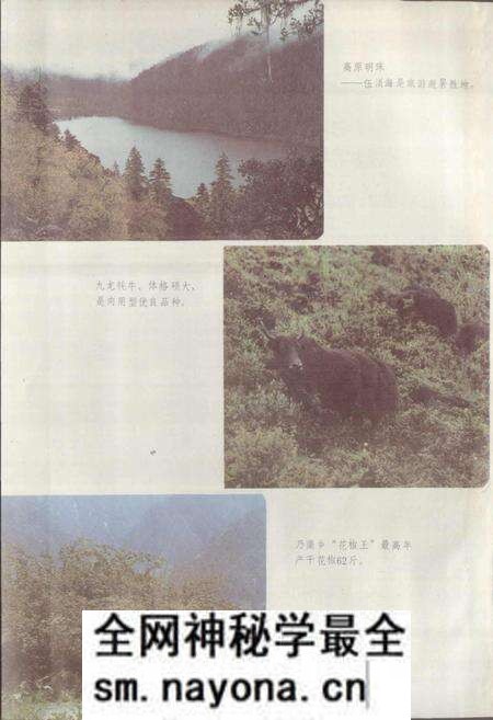 《四川省甘孜藏族自治州九龙县地名录》.pdf电子版_四川省志预览图5 《四川省甘孜藏族自治州九龙县地名录》.pdf电子版_四川省志预览图5
