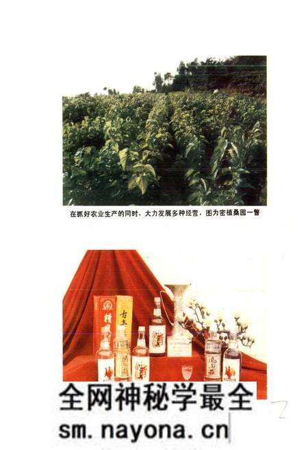 《四川省平昌县地名录》.pdf电子版_四川省志预览图4 《四川省平昌县地名录》.pdf电子版_四川省志预览图4