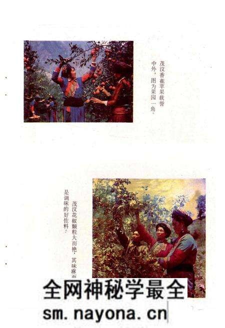 《四川省阿坝藏族自治州茂汶羌族自治县地名录》.pdf电子版_四川省志预览图3 《四川省阿坝藏族自治州茂汶羌族自治县地名录》.pdf电子版_四川省志预览图3