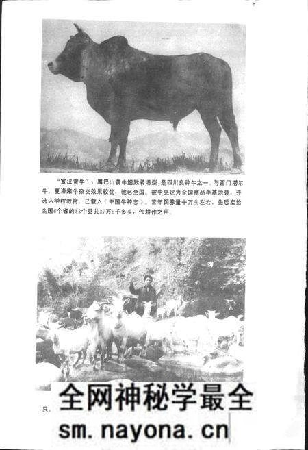 《四川省宣汉县地名录》.pdf电子版_四川省志预览图5 《四川省宣汉县地名录》.pdf电子版_四川省志预览图5