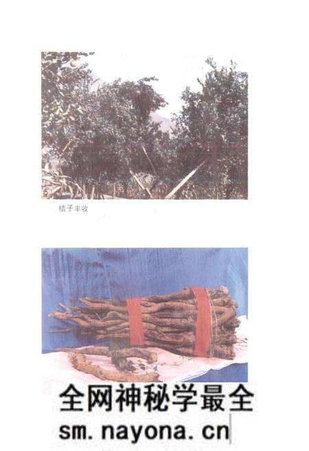 《四川省金口河工农区地名录》.pdf电子版_四川省志预览图3 《四川省金口河工农区地名录》.pdf电子版_四川省志预览图3