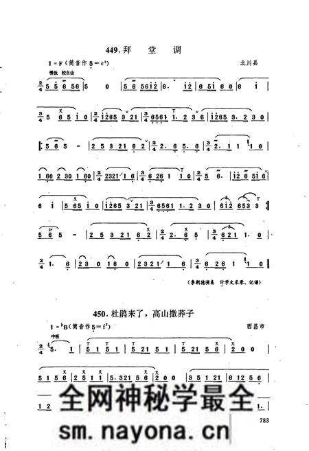 《中国民族民间器乐曲集成 四川卷·下册》.pdf电子版_四川省志预览图4