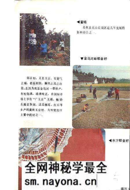 《四川省双流县地名录》.pdf电子版_四川省志预览图4 《四川省双流县地名录》.pdf电子版_四川省志预览图4