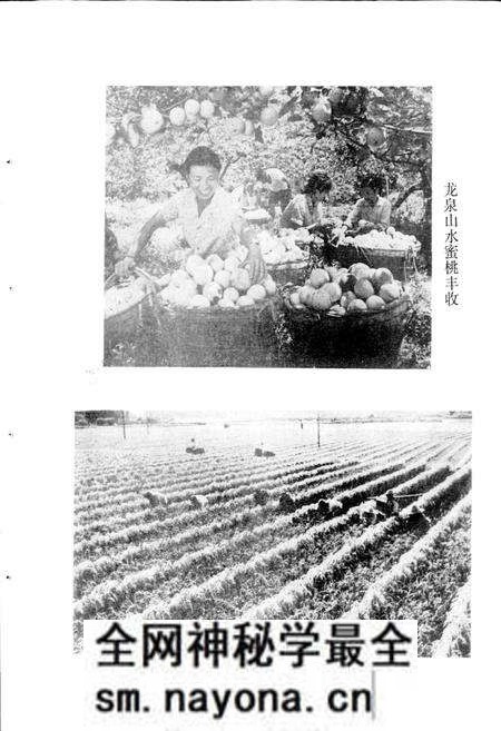 《四川省成都市地名录第三分册龙泉驿区》.pdf电子版_四川省志预览图3