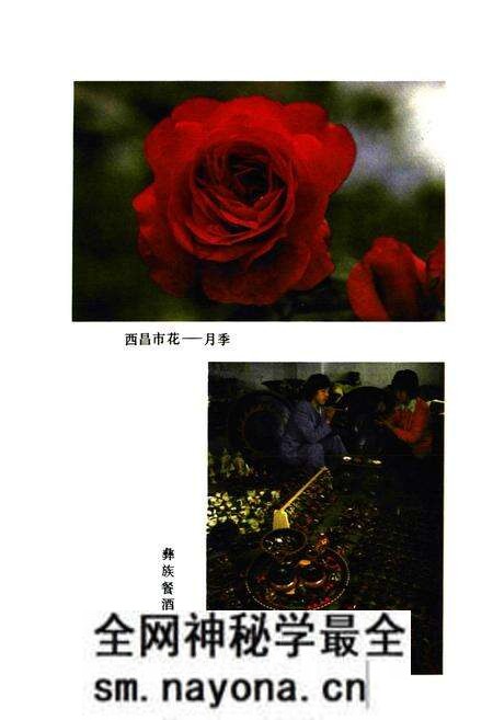 《四川省凉山彝族自治州 西昌市地名录》.pdf电子版_四川省志预览图2 《四川省凉山彝族自治州 西昌市地名录》.pdf电子版_四川省志预览图2