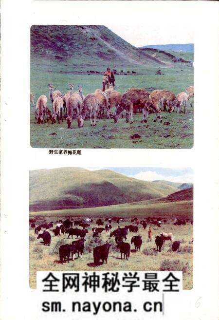 《四川省阿坝藏族自治州红原县地名录》.pdf电子版_四川省志预览图4 《四川省阿坝藏族自治州红原县地名录》.pdf电子版_四川省志预览图4