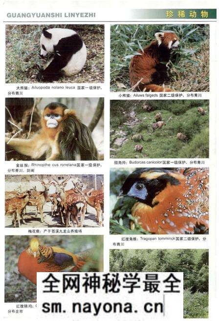 《《广元市林业志》》.pdf电子版_四川省志预览图5 《《广元市林业志》》.pdf电子版_四川省志预览图5