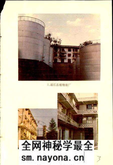 《通江县粮油志》.pdf电子版_四川省志预览图5
