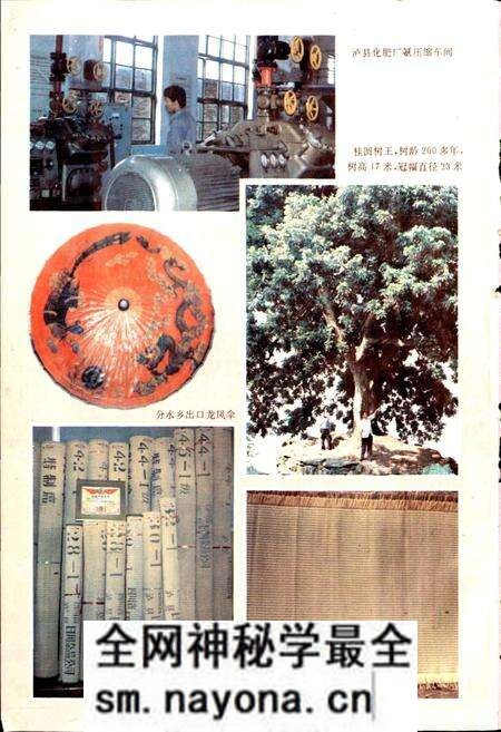 《泸县志》.pdf电子版_四川省志预览图5