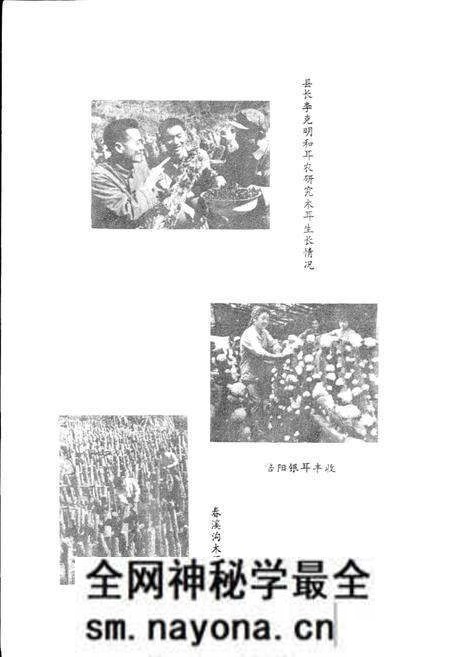《通江县供销合作志》.pdf电子版_四川省志预览图4