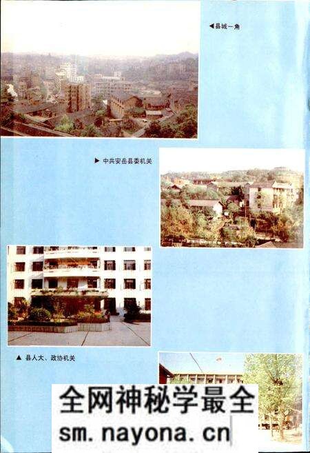 《安岳县志》.pdf电子版_四川省志预览图5
