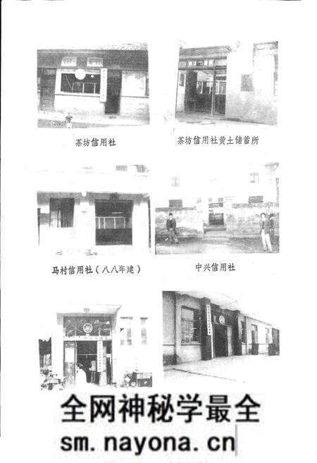 《夹江县农村金融志》.pdf电子版_四川省志预览图3