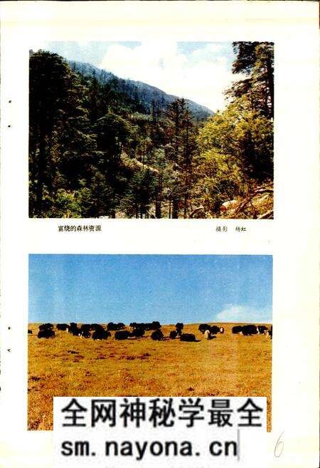《四川省凉山彝族自治州美姑县地名录》.pdf电子版_四川省志预览图5 《四川省凉山彝族自治州美姑县地名录》.pdf电子版_四川省志预览图5