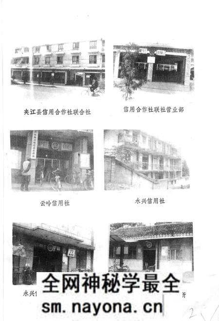 《夹江县农村金融志》.pdf电子版_四川省志预览图4