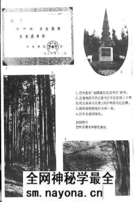 《巴中县林业志》.pdf电子版_四川省志预览图4 《巴中县林业志》.pdf电子版_四川省志预览图4
